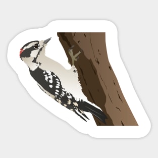 Downy Woodpecker Bird Sticker